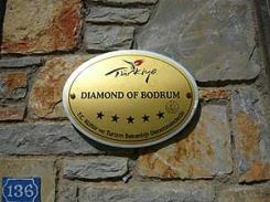  Diamond of Bodrum 5* (  )         :
