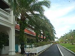  Old Phuket 3* ( )         :