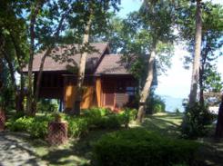 Phi Phi Natural Resort 3* (   )         :-