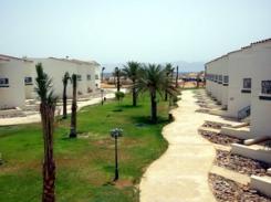  Elaria Beach Resort  4* (  )         :