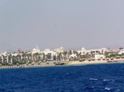  Crown Plaza Sands Port Ghalib Resort 5* (     )         : 