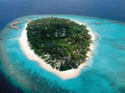  Meedhupparu Island Resort 4* (  )         :  - 