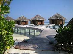  Diva Island Resort & SPA 5* (   & )         : 