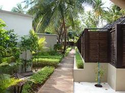  Angsana Resort & Spa Ihuru Maldives 5* (  &    ...