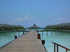  Sun Island Resort & SPA 5* (   & )         : 