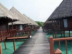  Velidhu Island Resort 4* (  )         : 