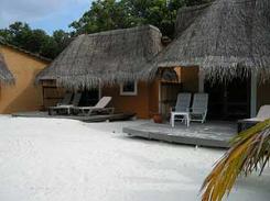  Kuredu Island Resort  4* (  )         :  ...