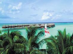  Olhuveli Beach & Spa Resort 4* (  &  )         :  - 