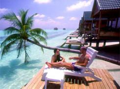  Meeru Island Resort 4* (  )         :  - 