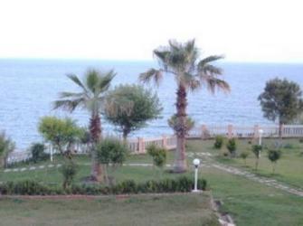  Nazar Beach 4* ( )         :