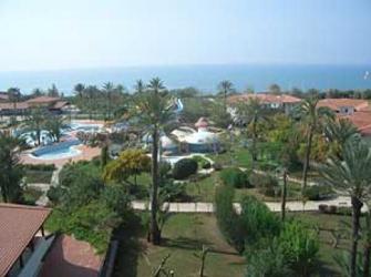  Belconti Resort 5* ( )         :
