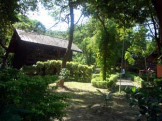  Phi Phi Natural Resort 3* (   )         :-