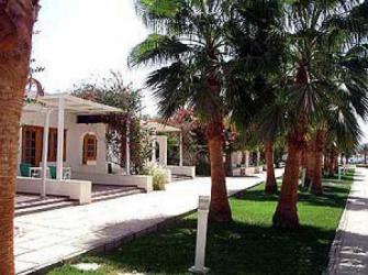  Dessole Seti Sharm Resort 4* (  )         :  