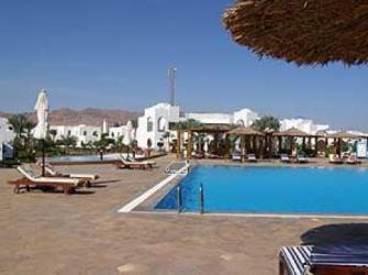  Hilton Dahab Resort 5* (  )         :