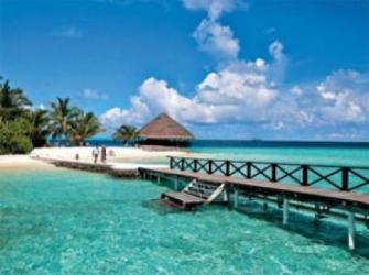  Vadoo Island Resort 5* (  )         :  - 