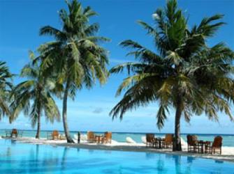  Palm Beach Resort & Spa 5* ( )         : 
