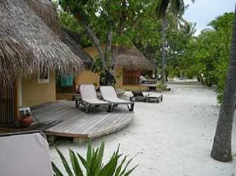  Kuredu Island Resort  4* (  )         : 