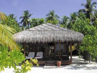  Fihalhohi Island Resort 4* (  )         :  - 