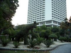 Отель Pattaya Park 3* (Паттайя Парк)         Курорт:Паттайа