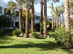 Отель Ghazala Beach 4* (Газала Бич)         Курорт:Шарм Эль Шейх