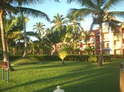 Отель Punta Cana Princess 5* (Пунта Кана Принцесс)         Курорт:Пунта Кана