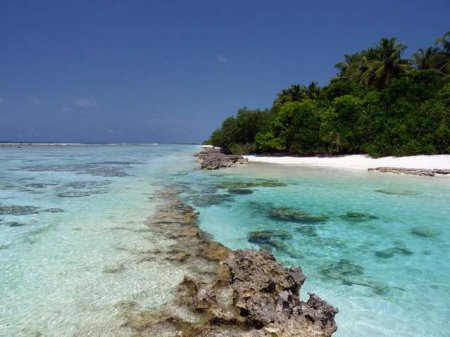 Отдых на Мальдивах: отзывы