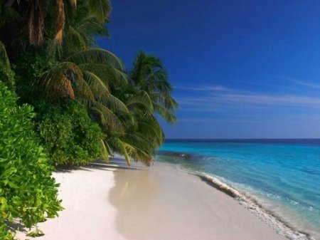 Отдых на Мальдивах: стоимость