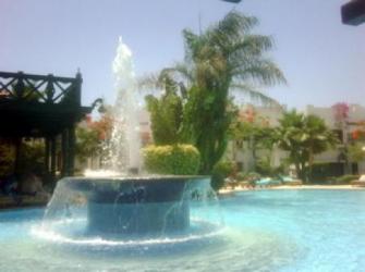  Delta Sharm Resort 4* (  )         :  