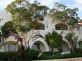 Отель Domina Coral Bay Oasis 5* (Домина Корал Бей Оазис)         Курорт:Шарм Эль Шейх