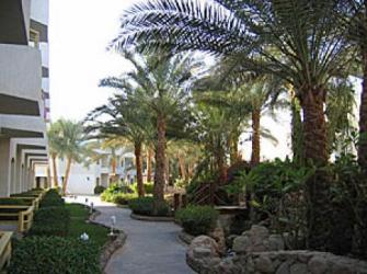 Отель Gafy Resort 4* (Гафи Ресорт)         Курорт:Шарм Эль Шейх