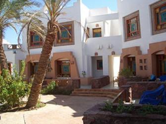  Sharm Inn Amarein 3* (  )         :  