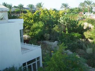 Отель Sheraton Sharm 5* (Шератон Шарм)         Курорт:Шарм Эль Шейх