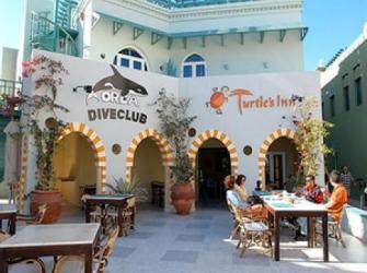 Отель Turtles Inn 4* (Тартлз Инн )         Курорт:Эль Гуна