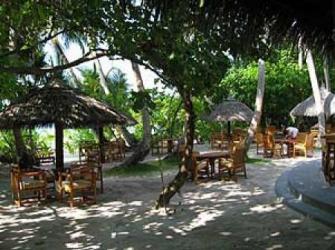  Filitheyo Island Resort 4* (  )         :  