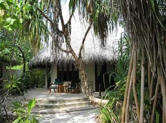 Отель Coco Palm Dhuni Kolhu 5* (Коко Пальм Дуни Колу)         Курорт:Атолл Баа