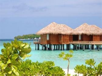  Full Moon Resort and Spa Maldives 5* (     )         :  - 